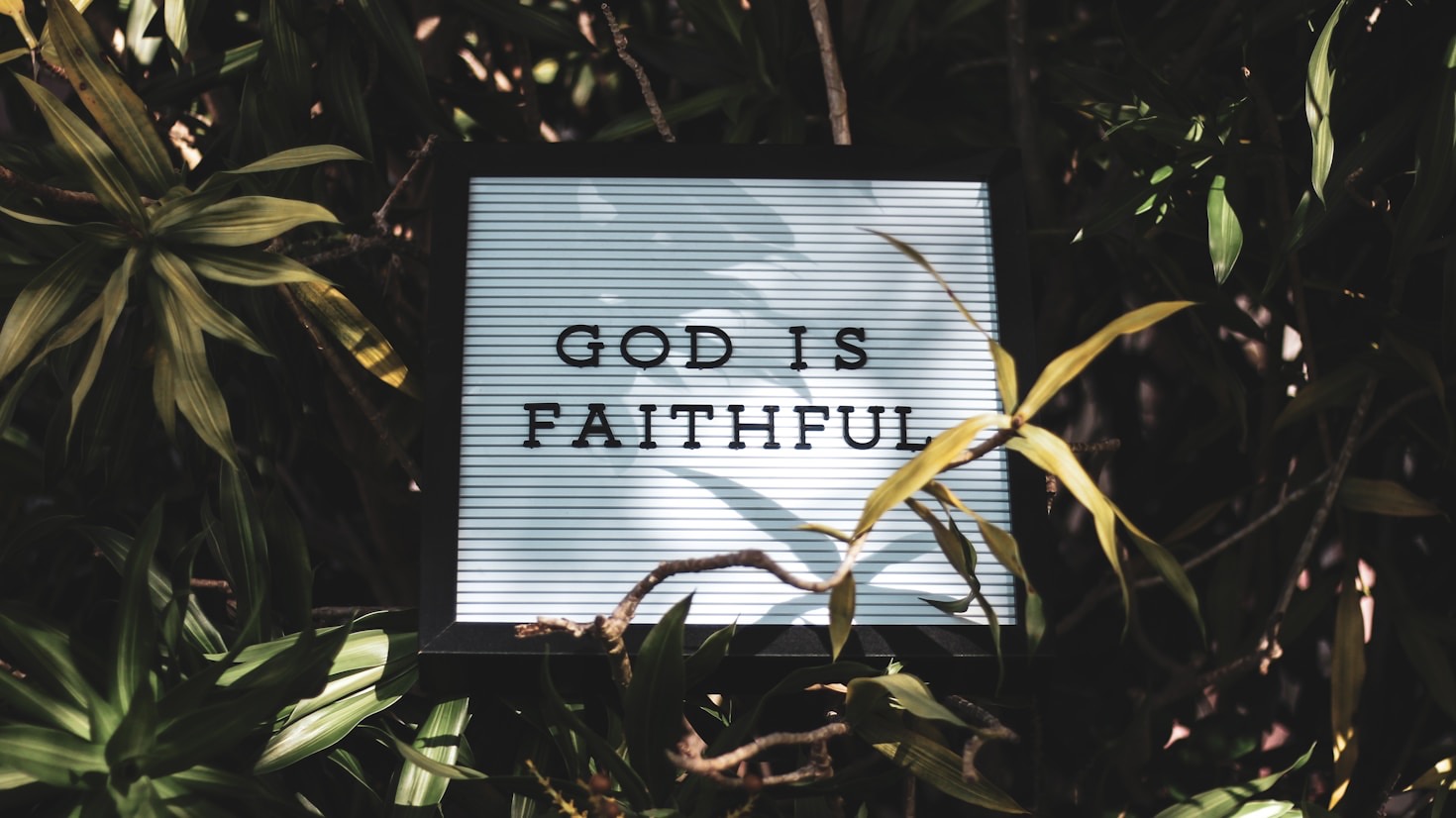 The Power of Community in Spiritual Growth